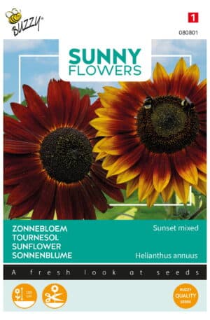 Dísznapraforgó Sunset mixed Sunny Flowers Bz H