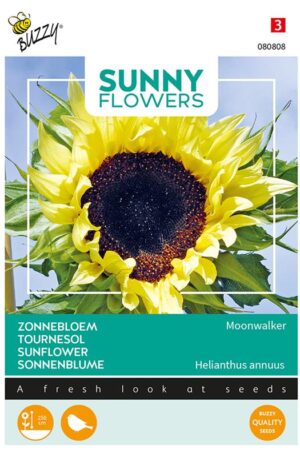 Dísznapraforgó Moonwalker Sunny Flowers Bz H