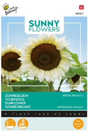 Dísznapraforgó White Moon F1 Sunny Flower F1 Bz H