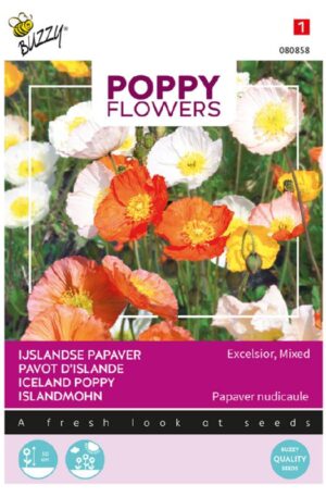 Díszpipacs Izlandi mák Excelsior Mixed Poppy Flowers Bz H