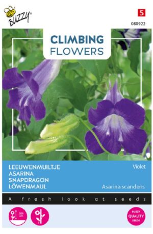 Futó oroszlánszáj Climbing Flowers Bz H