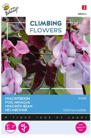 Sisakbab Climbing Flowers Bz H