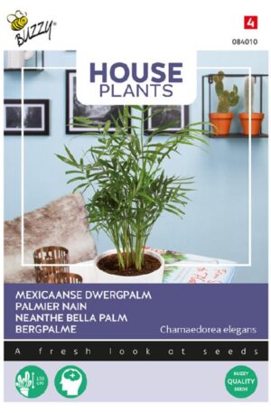 Mexikói bambuszpálma House Plants Bz H