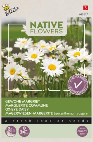 Réti margitvirág Native Flowers Bz H