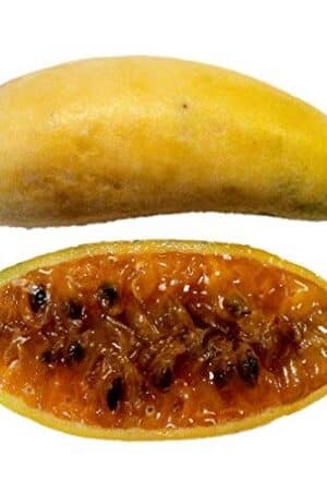 Molyhos golgotavirág