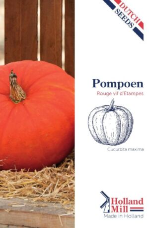 Sütőtök Red Etampes HM H