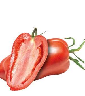 Andenhorn sel. Anca B-S Paradicsom