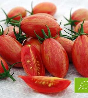 Artisan Pink Tiger Bio Paradicsom B-S