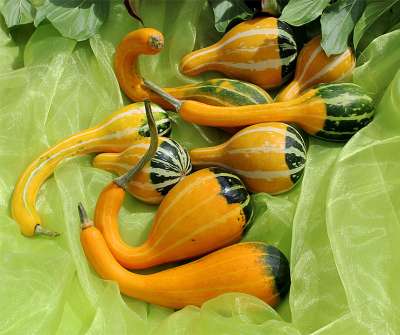 Kelle bicolor Dekortök B-S