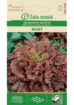 .Saláta Roset Z.S SL 2025-év lejáratú