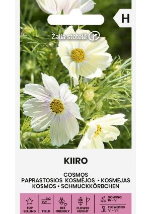 Pillangóvirág Kiiro Z.S SL