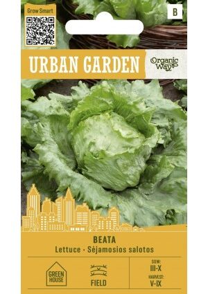 Saláta Beáta jégsaláta OW UGarden SL