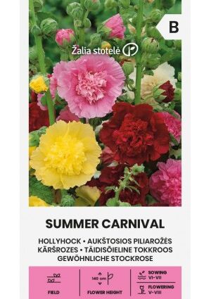 Mályvarózsa Summer carnival Z.S SL