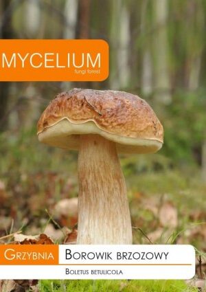 . Mycelium Nyírfa vargánya 10 gr SL