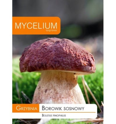 . Mycelium Vargánya 10 gr SL