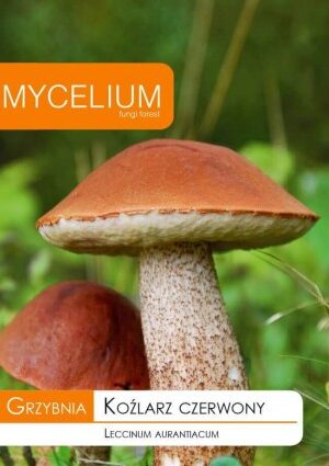 . Mycelium Vörös édestinórú 10 gr SL