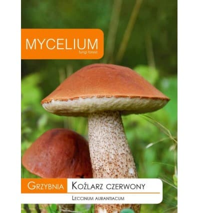 . Mycelium Vörös édestinórú 10 gr SL