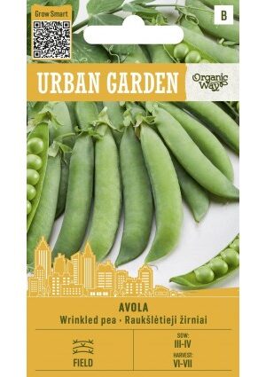 Borsó Avola OW UGarden