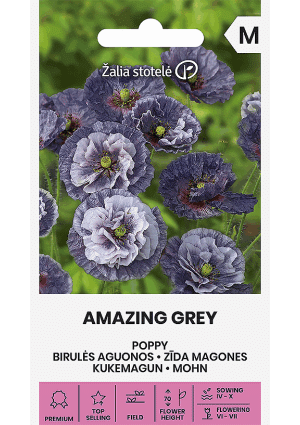 Díszpipacs Amazing Grey Z.S SL