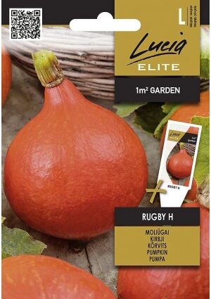 Sütőtök Rugby Hibrid ELN SL