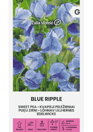Szagosbükköny Borsóvirág Blue Ripple Z.S SL