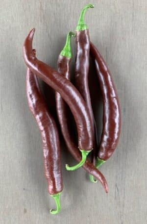 .  Cayenne Choco 1+1 Akció