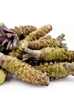 Japán vizitorma SCh