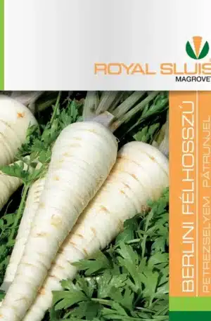 Petrezselyemgyökér Berlini félhosszú Royal 1