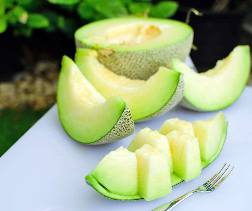 Sárgadinnye Tenor F1 B-S