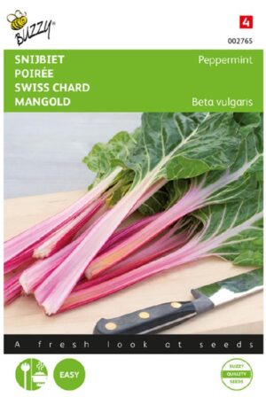 Mángold Peppermint Bz H