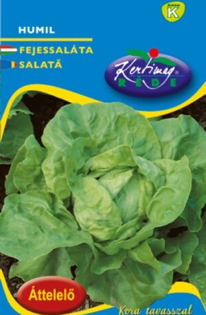Saláta Humil téli Pannon RK