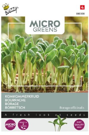 Borágo Micro Greens Bz H