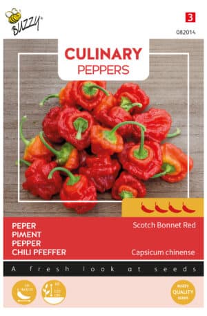 Paprika Scotch Bonnet Red Culinary Pepper Bz H