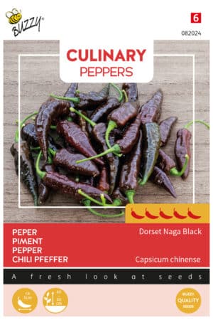 Paprika Dorset Naga Black Culinary Pepper Bz H