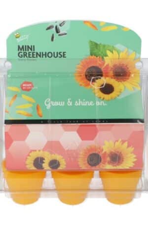 Mini üvegház Napraforgó Bz H
