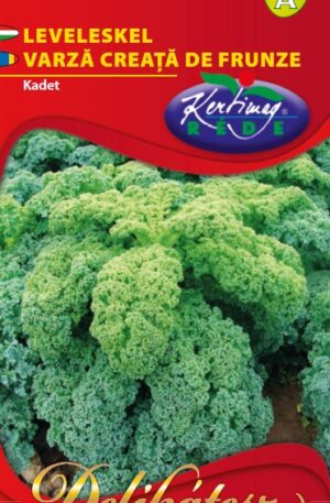 Leveleskel Kadet Delikatesz RK