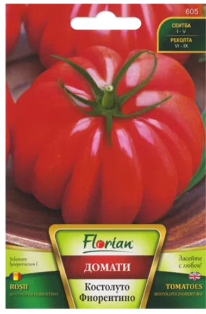 Paradicsom Kostoluto Fiorentino Florian Bg