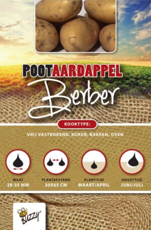 .Vetőburgonya Berber 1 Kg Bz H