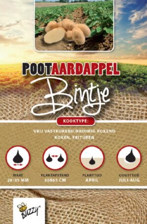 .Vetőburgonya Bintje 1 Kg Bz H