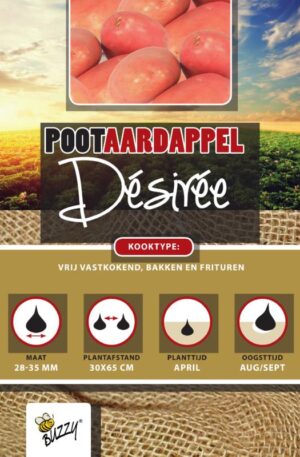 .Vetőburgonya Desiree 1 Kg Bz H