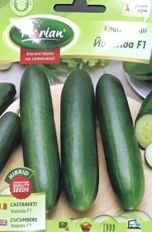 Uborka Yolanda F1 Florian Bg