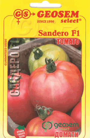 Paradicsom Sandero F1 25 szemes Geosem Bg