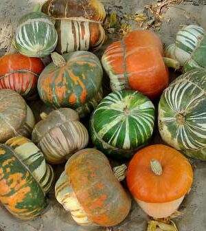 Alladin Turban Dekortök B-S