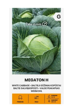 Káposzta Megaton Hibrid Z.S SL
