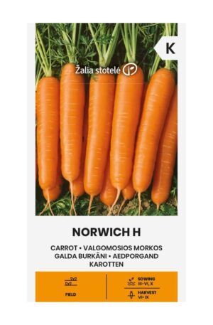 Sárgarépa NORWICH Hibrid Z.S SL