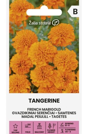 Büdöske Tangerine Z.S SL