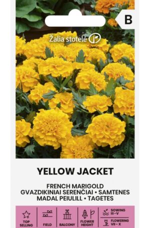 Büdöske Yellow Jacket Z.S SL