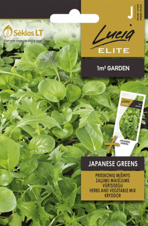 Saláta keverék Japanese Mix ELN SL