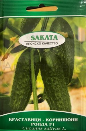 Uborka Ronda F1 Sakata