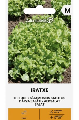 Saláta Iratxe Z.S SL